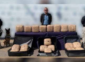 Arrestan a hombre con 40 kilos de marihuana en la CAPU marihuana