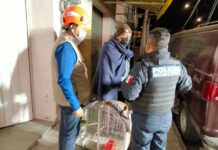 Evacuan a 47 animales domésticos tras explosión en San Matías