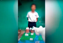 ¡Michi malo y viral! Acabó con la maqueta de su dueño gato