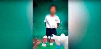 ¡Michi malo y viral! Acabó con la maqueta de su dueño gato