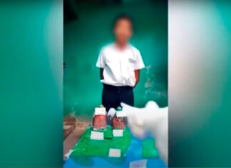 ¡Michi malo y viral! Acabó con la maqueta de su dueño gato