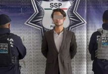 Arrestan a sujeto por traficar un mono araña Mono