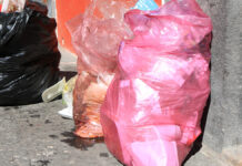 Dejan montoneras de basura tras feria en San Baltazar Campeche Las montoneras de basura y baños derivan en mal olor