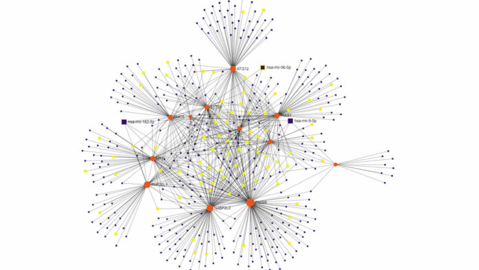 Científicos de la Universidad Northwestern, desarrollaron una nueva herramienta para combatir el cáncer de forma rápida y eficaz.