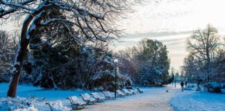Fotógrafo muere congelado en las calles de París