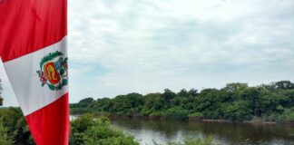 Perú propone castración a quien viole mujeres y menores de edad Perú