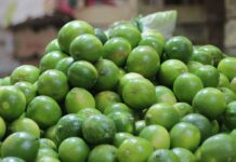 Precio del limón va a la baja, afirma Profeco Desde inicios del 2022, varios productos de la canasta básica han subido de precio. Foto: Es Imagen