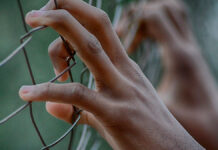 Bélgica condena a hombre por muerte de 39 migrantes Bélgica migrantes