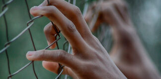 Bélgica condena a hombre por muerte de 39 migrantes Bélgica migrantes