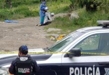 Puebla registró 870 homicidios dolosos en 2021, reporta Federación Puebla está en la posición 14 con 870 casos de asesinato