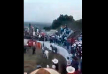 Toro se sube a gradas de la plaza en Colima toro