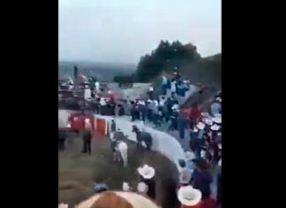 Toro se sube a gradas de la plaza en Colima toro