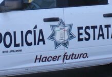 Detienen a 19 presuntos tratantes de personas en la autopista México-Puebla AEI