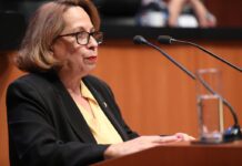 Senadora demandará a Chumel Torres por declaraciones machistas