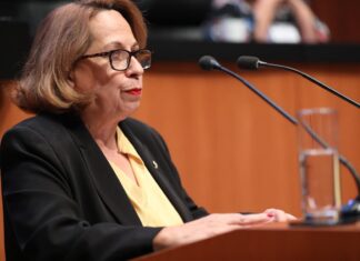 Senadora demandará a Chumel Torres por declaraciones machistas