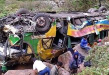 ¡Terrible! Autobús cae al abismo en Perú; hay 20 muertos