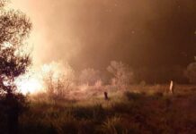 En Argentina incendios forestales devastaron más de 485 mil hectáreas En Argentina incendios forestales devastaron más de 485 mil hectáreas