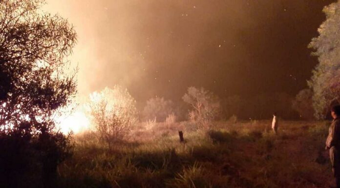En Argentina incendios forestales devastaron más de 485 mil hectáreas En Argentina incendios forestales devastaron más de 485 mil hectáreas