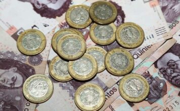 ¡Por las nubes! Limón, aguacate y gas, lo que más encareció en Puebla Inflación