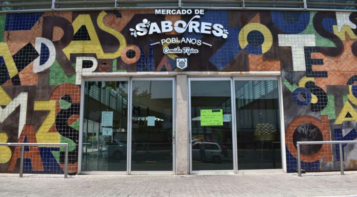 ‘Nenis’ podrían entregar ventas en Mercado de Sabores Nenis