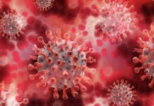 OMS pide aportación para poner fin a la pandemia OMS pide aportación para poner fin a la pandemia