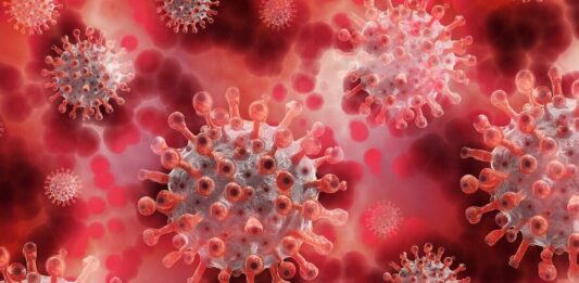 OMS pide aportación para poner fin a la pandemia