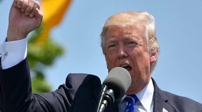 Ordenan a Trump y sus hijos testificar ante presunto fraude Ordenan a Trump y sus hijos testificar ante presunto fraude