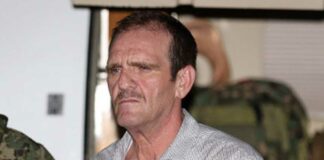 ‘El Güero’ Palma podría quedar libre tras obtener amparo Palma