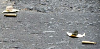 Familia Simoni fue atacada por denunciar a banda delictiva Simoni