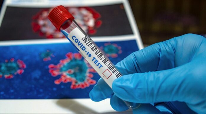 ¿Existe inmunidad innata al COVID-19? Estudio dice que sí