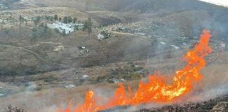 Alertan por incendio en cerro de Monte Albán