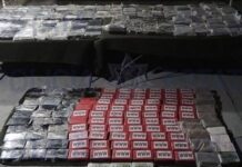 Decomisan más de 300kg de cocaína en San Luis Potosí