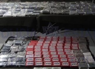 Decomisan más de 300kg de cocaína en San Luis Potosí
