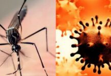 Detectan primer caso de coronadengue en Argentina