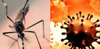 Detectan primer caso de coronadengue en Argentina