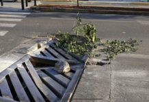 Suman 112 reportes por alcantarillas dañadas en 2022