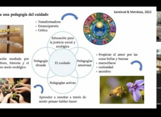 Concluye Primer Diplomado “Educación para el Desarrollo Sostenible”