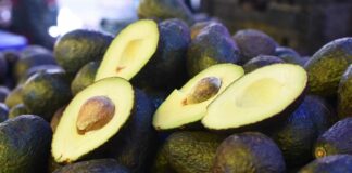 México enviará 110 mil toneladas de aguacate a EU para el Super Bowl aguacate