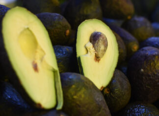 Estados Unidos reporta escasez de aguacate En las últimas seis semanas, productores de Michoacán han exportado más de 135 mil toneladas de aguacate a Estados Unidos. Foto: Es Imagen