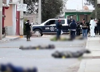 Hallan 16 cadáveres en dos municipios de Zacatecas Seis cadáveres fueron hallados en una bodega ubicada del municipio de Pánfilo Natera y otros 10 fueron abandonados en Fresnillo.