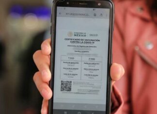 ¿Cómo actualizo mi certificado de vacunación Covid? Certificado
