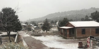Continúan heladas en Chihuahua por nuevo frente frío Chihuahua