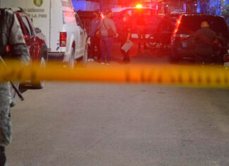 Encuentran restos óseos en una cubeta en Cozumel Cozumel