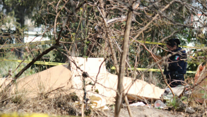 Barbosa convocará a los ediles de esta zona a una reunión para combatir el alza de delitos. Foto: EsImagen