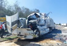 Pobladores de Veracruz hacen rapiña en tráiler y olvidan a chofer herido