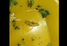 Encuentran gusano en comida del IMSS San José y lo suben a Tik Tok La joven y su hermano denunciaron que aparte de un gusano en su comida, a su arribo al hospital se quedaron sin agua en sus habitaciones.