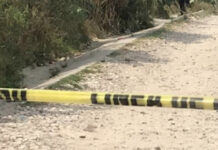 Padrastro mata a dos hermanitos en Palmar de Bravo Un hombre mató a dos hermanitos de apenas 3 años y ocho meses de edad, esto en Palmar de Bravo. A uno lo enterró.