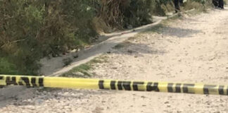 Padrastro mata a dos hermanitos en Palmar de Bravo Un hombre mató a dos hermanitos de apenas 3 años y ocho meses de edad, esto en Palmar de Bravo. A uno lo enterró.