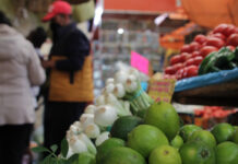 Precio de limón y aguacate supera los 100 pesos por kilo Ricardo Sheffield Padilla aseguró que el precio del limón ya empezó a bajar desde hace tres semanas.. Foto: Es Imagen