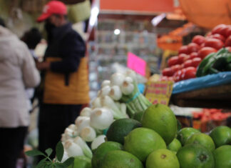 El limón “sigue dando algo de lata”, dice Profeco Ricardo Sheffield Padilla aseguró que el precio del limón ya empezó a bajar desde hace tres semanas.. Foto: Es Imagen